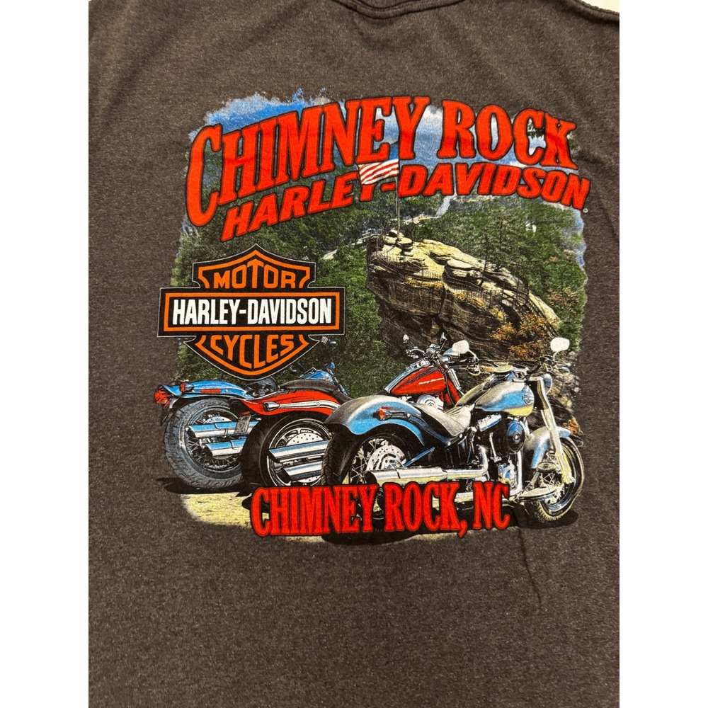 Harley Davidson Chimney Rock NC T-Shirt Mens Charcoal Gray Graphic Tee